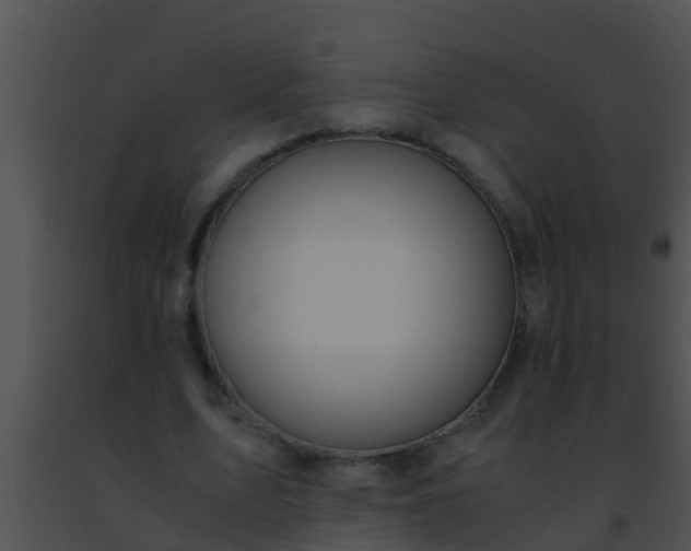 X0000091500583200708302000