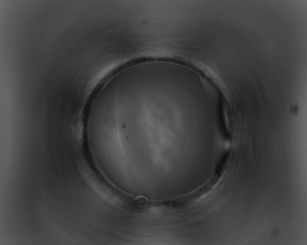 X0000091500584200708302000