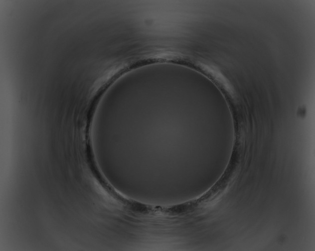 X0000091500585200708302000