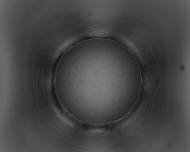 X0000091500586200708302000