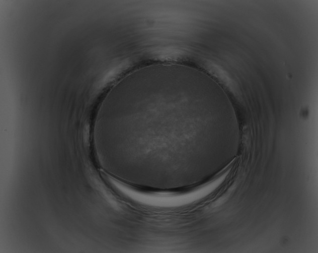 X0000091500589200708302000