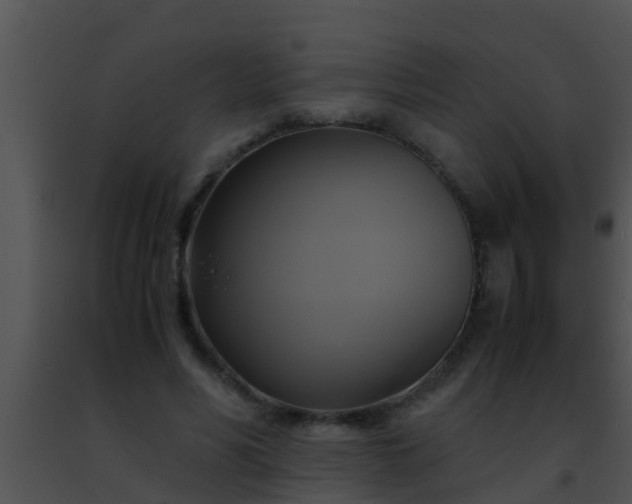 X0000091500590200708302000