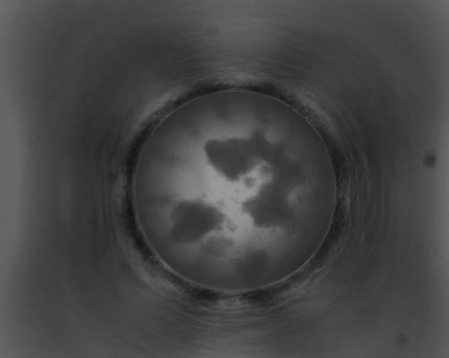 X0000091500591200708302000