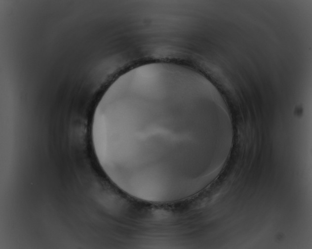 X0000091500592200708302000