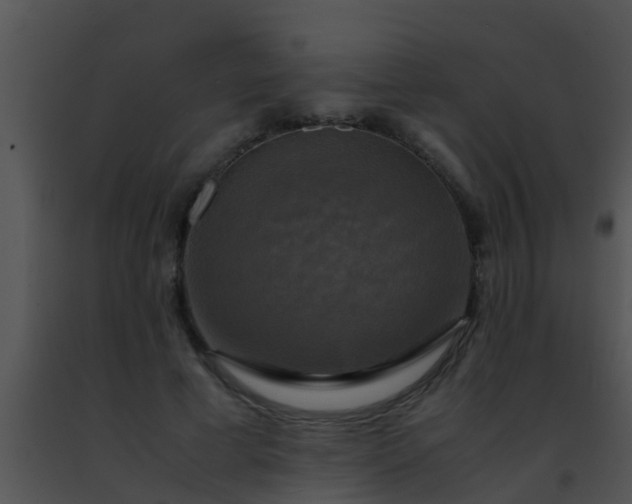 X0000091500593200708302000