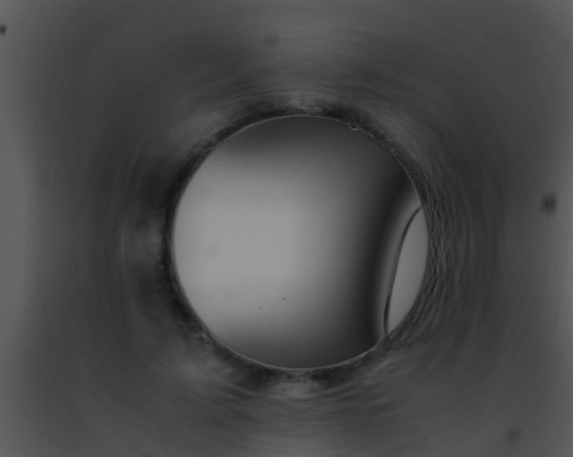 X0000091500595200708302000