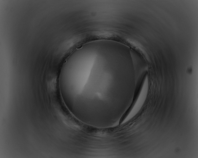 X0000091500596200708302000