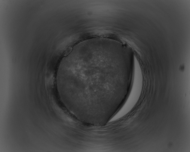 X0000091500597200708302000