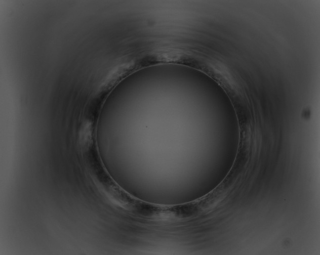 X0000091500598200708301959