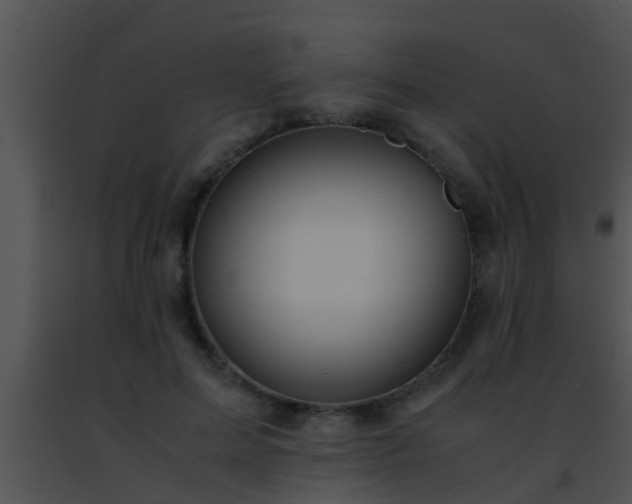 X0000091500599200708301959