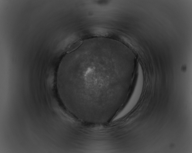 X0000091500600200708301959