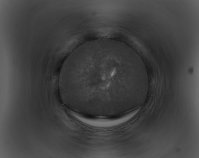 X0000091500601200708301959