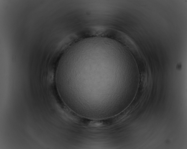 X0000091500602200708301959