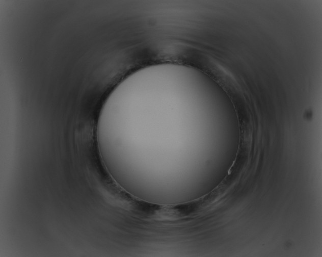 X0000091500603200708301959