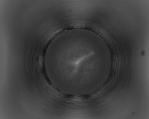 X0000091500604200708301959