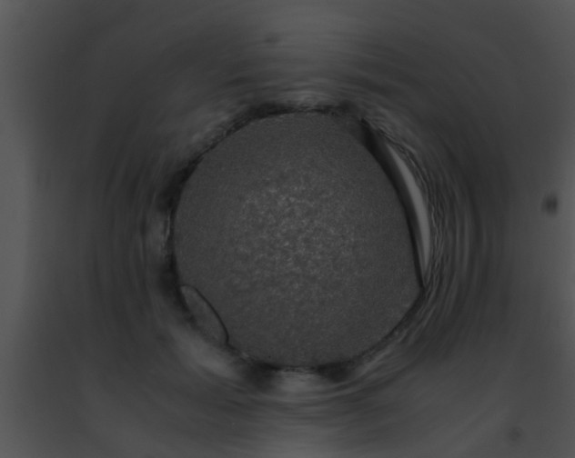 X0000091500605200708301959