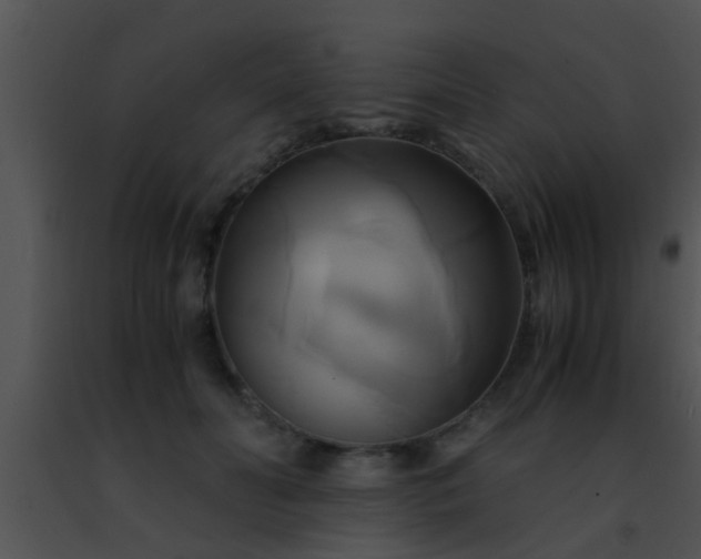 X0000091500606200708301959