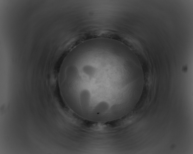 X0000091500607200708301959