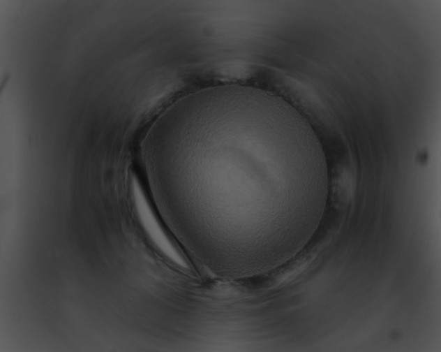 X0000091500608200708301959