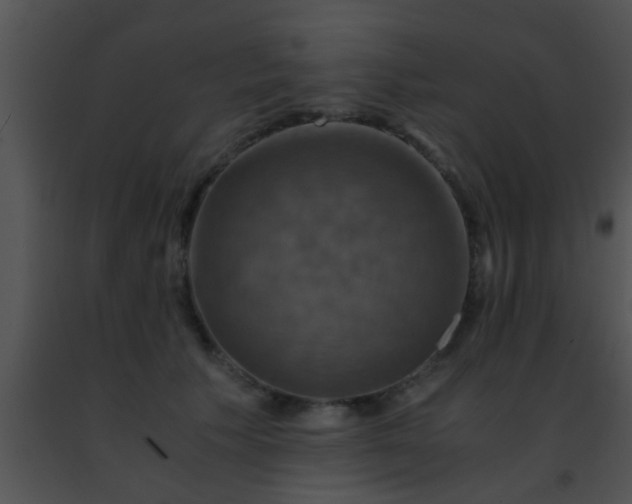 X0000091500609200708301959