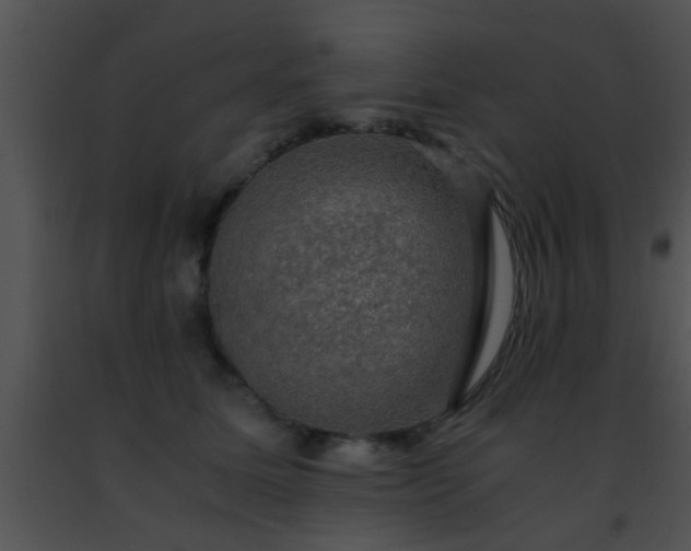 X0000091500611200708301959