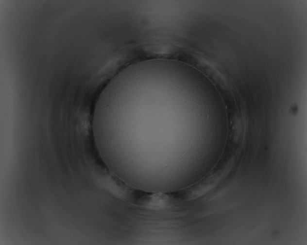 X0000091500612200708301959