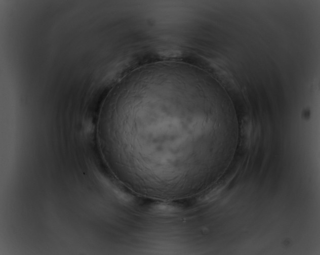 X0000091500614200708301959