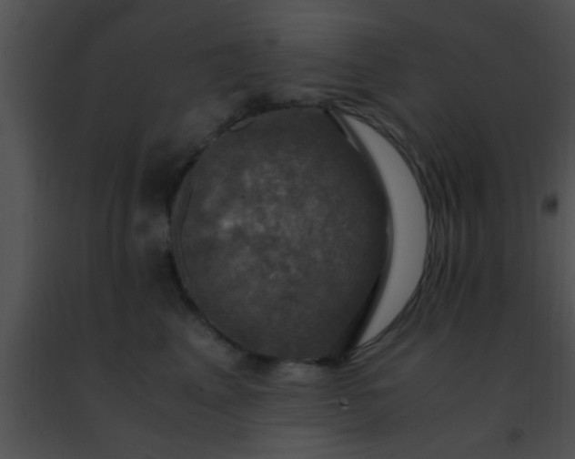 X0000091500617200708301959