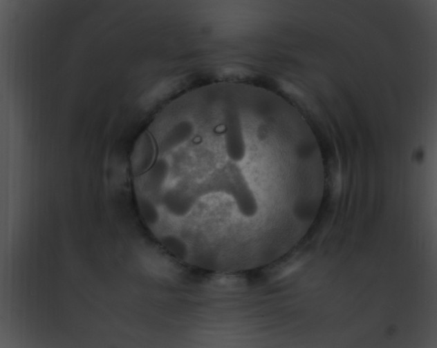 X0000091500619200708301959