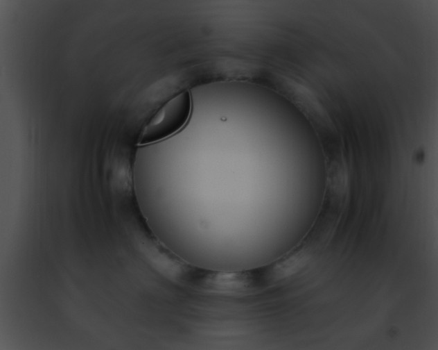 X0000091500622200708301959