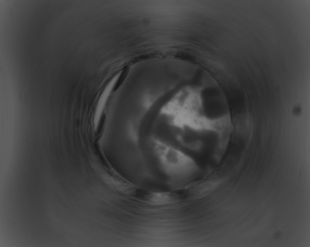 X0000091500623200708301959