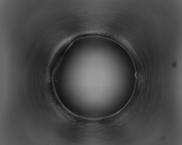 X0000091500628200708301958