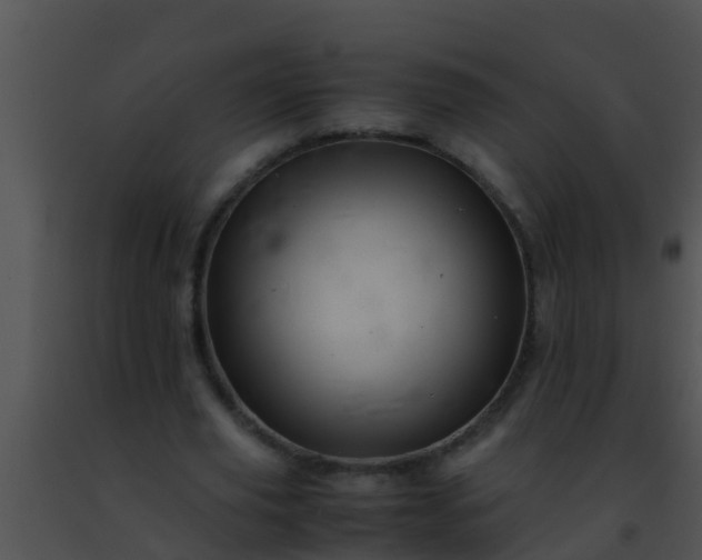 X0000091500629200708301958