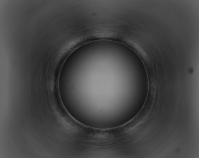 X0000091500631200708301958