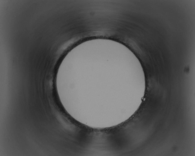 X0000091500632200708301958