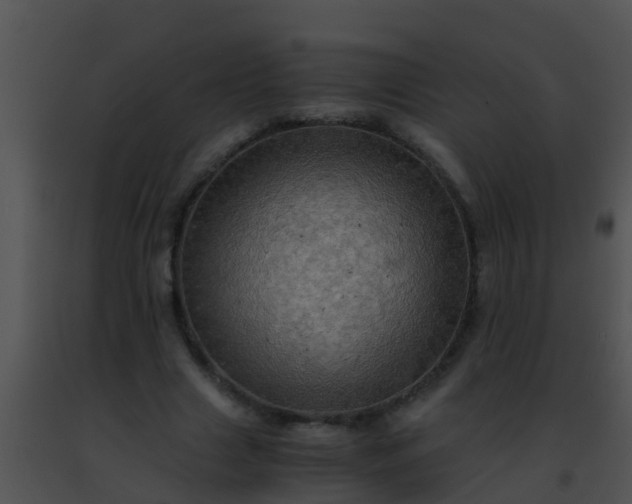 X0000091500633200708301959