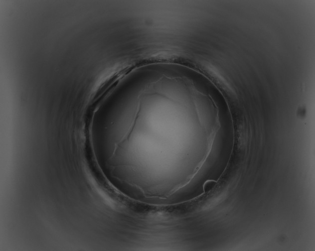 X0000091500634200708301959