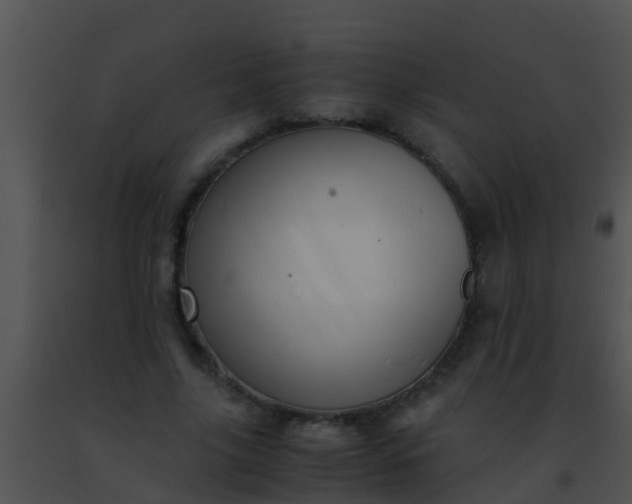 X0000091500635200708301959