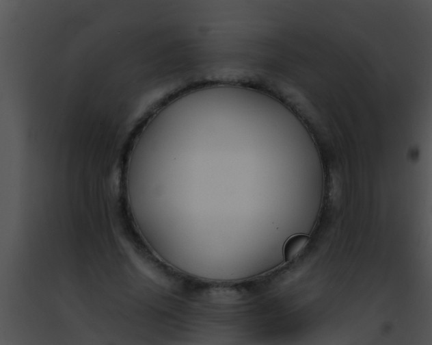 X0000091500636200708301959