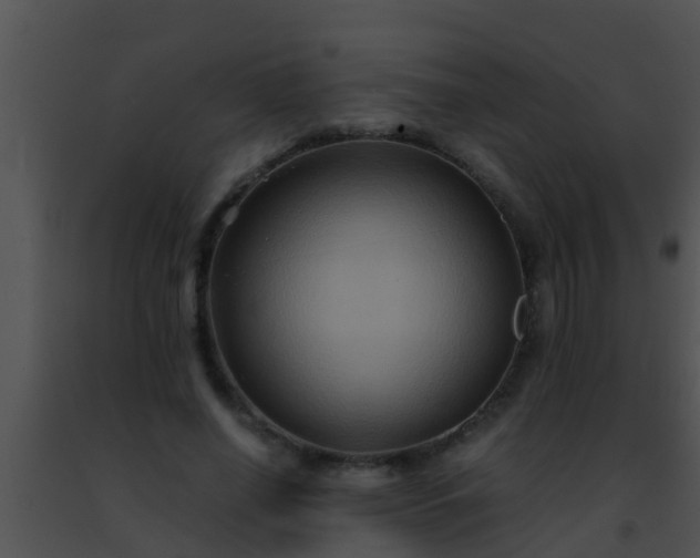 X0000091500638200708301959