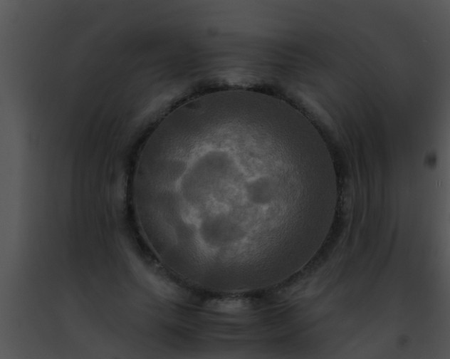 X0000091500639200708301959