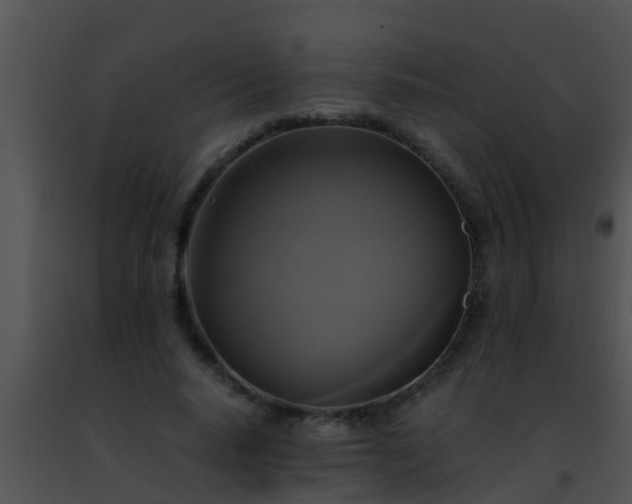 X0000091500640200708301959