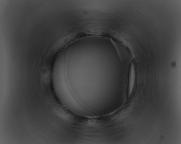 X0000091500641200708301959