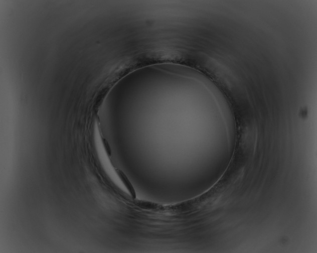 X0000091500643200708301959