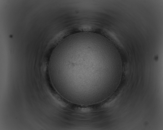 X0000091500645200708301959