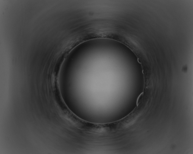 X0000091500646200708301959