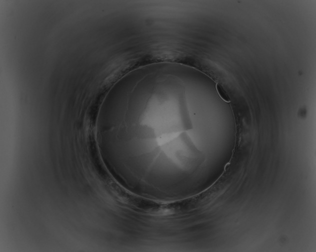 X0000091500647200708301959