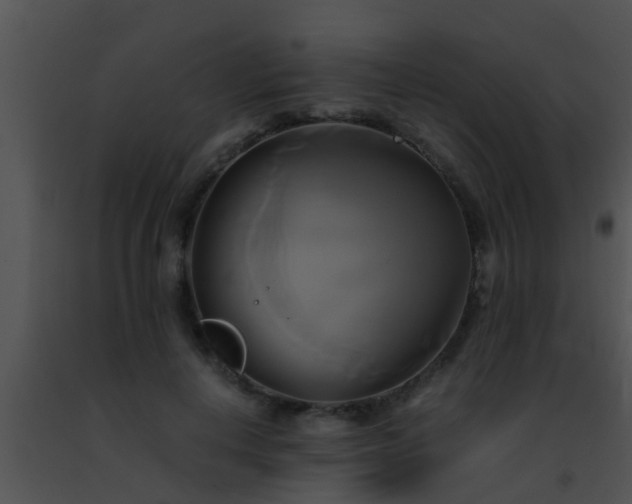 X0000091500648200708301959