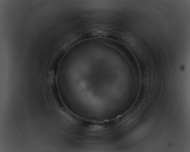 X0000091500649200708301959