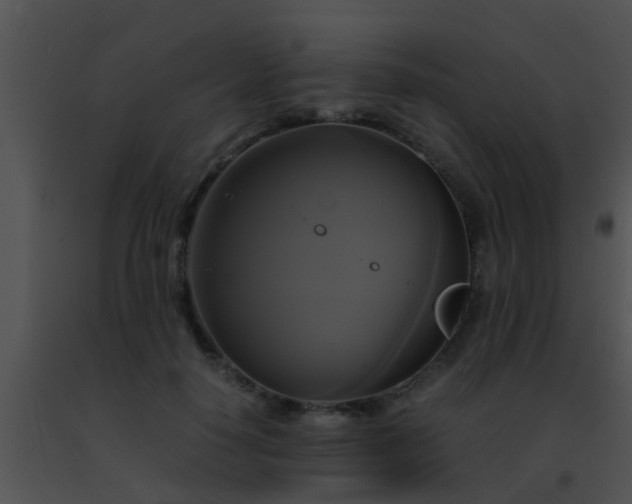 X0000091500650200708301959